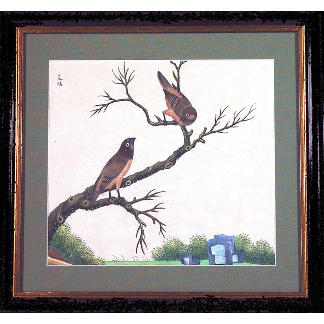 Chinese Pair of Chinese Export Bird Watercolors, Canton Natural History Paintings For Sale - Image 3 of 8