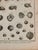 French Antique 18th Century French Shell Engravings Buffon Histoire Naturelle Redouté Plates 243 & 246 For Sale - Image 3 of 8