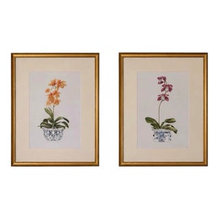Pair of Vintage Framed Orchid Botanical Prints in Chinoiserie Pots For Sale