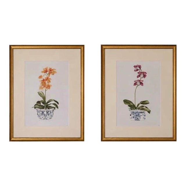 Pair of Vintage Framed Orchid Botanical Prints in Chinoiserie Pots For Sale