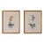 Pair of Vintage Framed Orchid Botanical Prints in Chinoiserie Pots For Sale