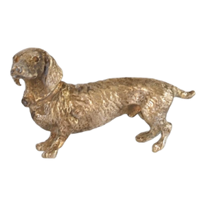 Miniature Vienna Bronze Dachshund Dog
