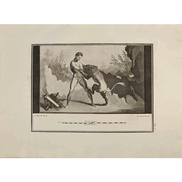 Pietro Campana, Hercules and Lion, Etching, 18th Century For Sale