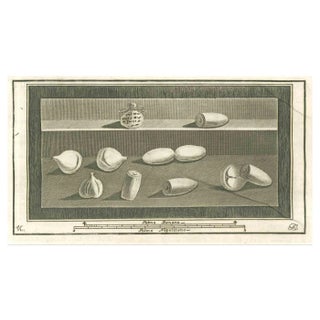 Various Authors, Still Life Pompeian Fresco, Etching, 18th Century For Sale