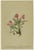 After Anton Hartinger, Pedicularis Wildflower from the Alps, 1897, Chromolithograph, Set of 8 For Sale - Image 9 of 12