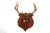 Set of 4 Vintage Mounted Deer Antlers With Leather and Brass Tacks For Sale - Image 4 of 15