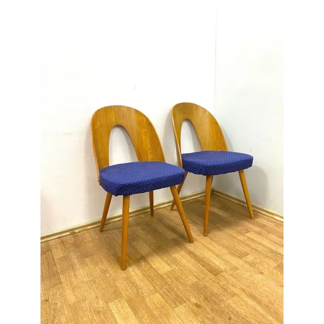 Chairs by Antonín Šuman for Ton, 1960s, Set of 2 For Sale - Image 6 of 10