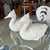 Traditional Pair of Mid 20th Century Blanc De Chine Ducks by Este Ceramiche for Tiffany and Co For Sale - Image 3 of 9