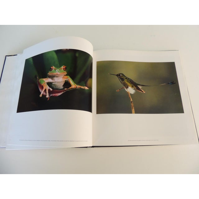 2000 - 2009 Ecuador by Pete Oxford & Rene√© Bish Hardcover Book For Sale - Image 5 of 9