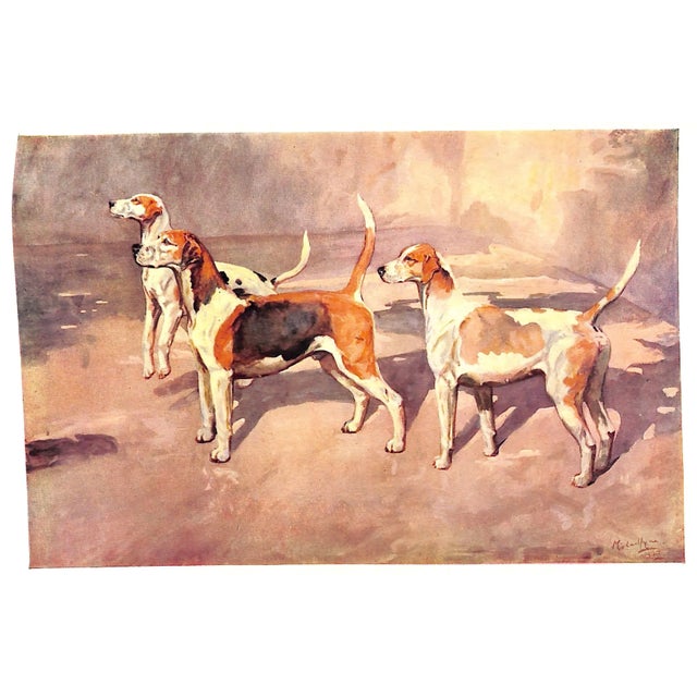"Hounds, Horses, and Hunting" 1948 Pitt, Frances For Sale - Image 12 of 12
