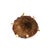 Early 20th Century Early 20th Century Kuba Beaded Noble's Hat with Cowrie Shells For Sale - Image 5 of 6