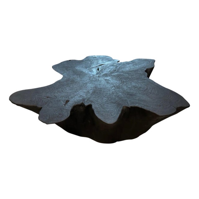 Andrianna Shamaris Sculptural Charred Coffee Table For Sale