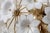 1980s Audrey Hepburn, Delicious Murano Glass Ceiling Light White Wall Light Flowers For Sale - Image 11 of 16