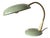 Vintage Italian Gooseneck Table Lamp, 1960s For Sale