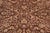 Elegant Pak-Persian Brown/Green Wool Rug - 8'0'' X 10'2'' For Sale - Image 4 of 9