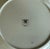 Set of 6 Royal Albert Bone China Salad Plates in the Silver Birch Pattern For Sale - Image 9 of 10