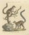 Karl Joseph Brodtmannm, Ring-Tailed Lemur, 1816, Lithograph For Sale - Image 3 of 9