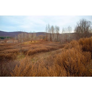 "Harriman 23" Contemporary Original Landscape Photograph by Michael Filonow For Sale
