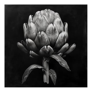 Springtime Artichoke — Black and White Vintage Botanical Photography Print For Sale