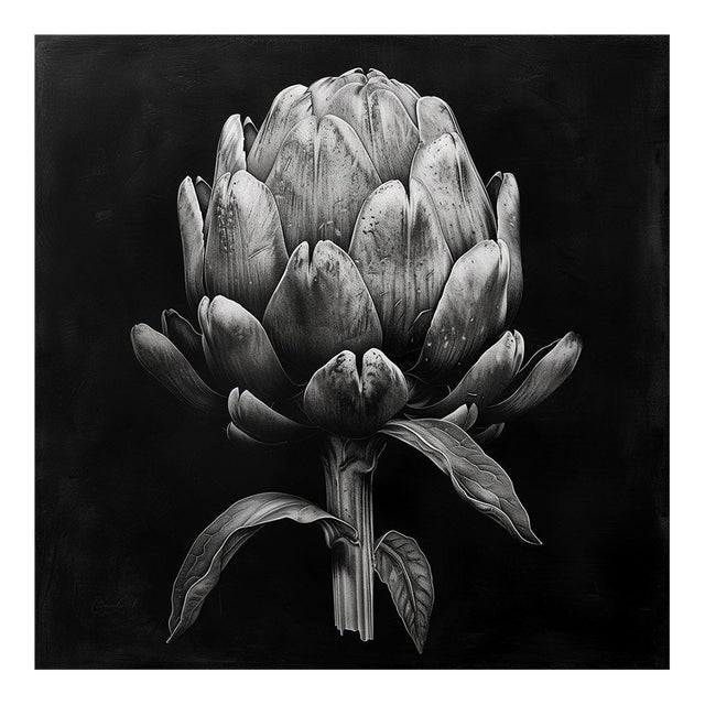 Springtime Artichoke — Black and White Vintage Botanical Photography Print For Sale