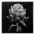 Springtime Artichoke — Black and White Vintage Botanical Photography Print For Sale