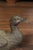 Metal Vintage 1940s Bronze Swimming and Quacking Ducks - a Pair For Sale - Image 7 of 11