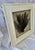 Natural black sea fan displayed in a custom shadow box behind glass. The frame was created from salvaged wood molding....