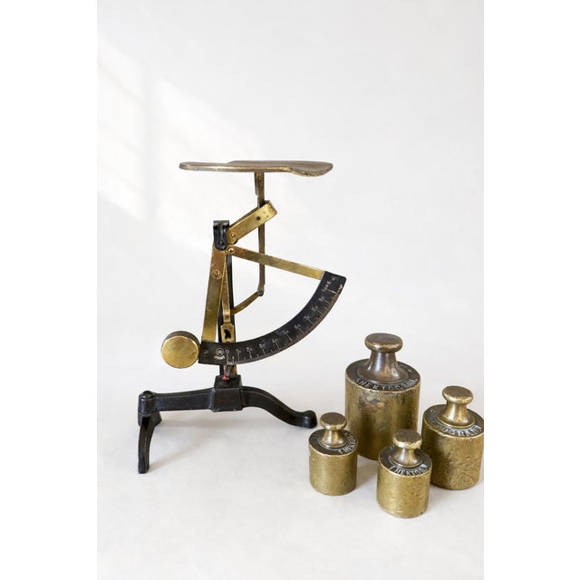 Antique Letter Scale with Brass Weights from D.R.G.M. Pendulum, Germany, 1900s, Set of 5 For Sale - Image 12 of 12