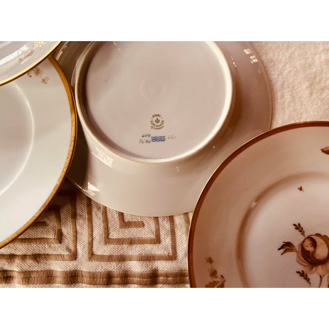 Royal Copenhagen Brown Rose Hand-Painted Porcelain Dinner Plates Set of 6 - Gilt Borders For Sale - Image 9 of 12