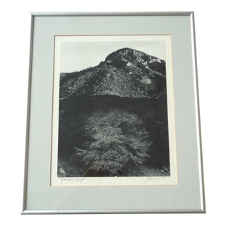Framed "Huachaca Canyon" Photograph For Sale