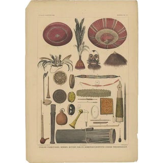 Temminck, Tools from Borneo, Indonesia, 1840, Print For Sale