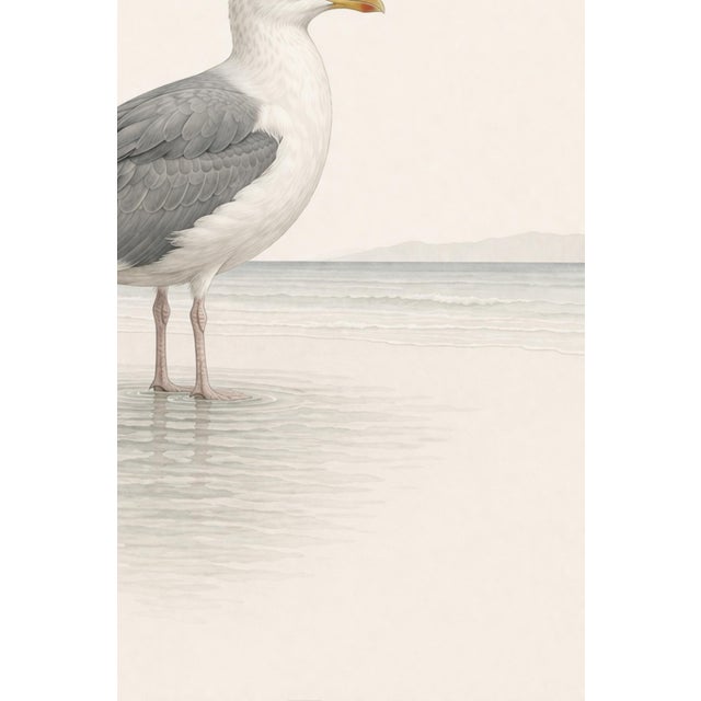 Coastal Seagull Study, Neutral Bird Wall Art Print, 24″ × 36″ Reproduction For Sale - Image 9 of 10