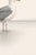 Coastal Seagull Study, Neutral Bird Wall Art Print, 24″ × 36″ Reproduction For Sale - Image 9 of 10