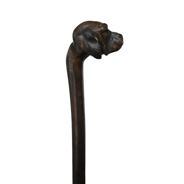 Antique Cane Carved with Dogs Head, 1900 For Sale - Image 4 of 8