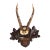 Antique Black Forest Roe Deer Antlers Hunting Trophy 1888 Mount For Sale