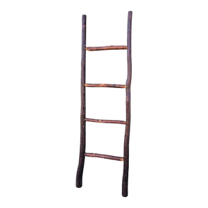 20Thc Old Hickory Ladder