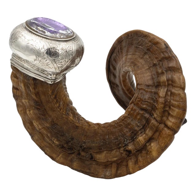 Scottish Ram’s Horn Snuff Mull Scotland, Circa 1890 For Sale