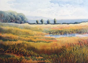 1990s Nicolette Jelen "Summer Morning Vii" Signed Aquatint Etching Art Print Landscape