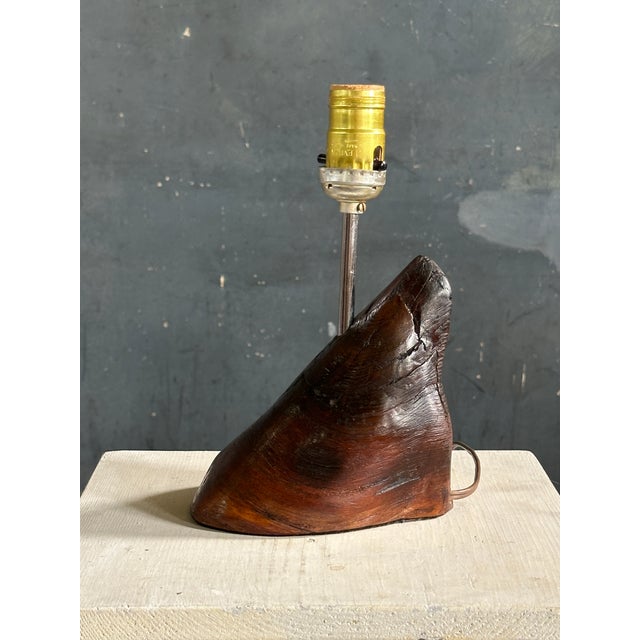Unique sculptural table lamp composed of hoof material. Smaller scale would be a beautiful addition to desk or mantle.