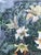 2000 - 2009 Watercolor Painting Flowers and Fruits Unknown Artist For Sale - Image 5 of 11