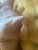 Pair of Vintage European Embroidered Silk Taffeta Cushions For Sale - Image 4 of 12