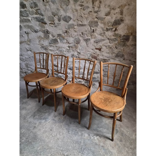 Vintage Bentwood Bistro Chairs from Fischel, Czechoslovakia, 1940s, Set of 4 For Sale - Image 14 of 18