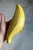 Contemporary Italian Glazed Ceramic Banana Sculpture (After Warhol) (After Maurizio Cattelan) For Sale - Image 3 of 18