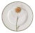6 Flora by Villeroy & Boch Lunch Plates For Sale