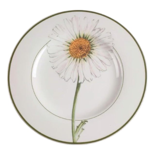 Flora by Villeroy & Boch Lunch Plates - Set of 6 For Sale