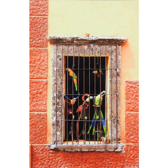 Modern Colorful Window & Toy Parrots Photograph For Sale - Image 3 of 3
