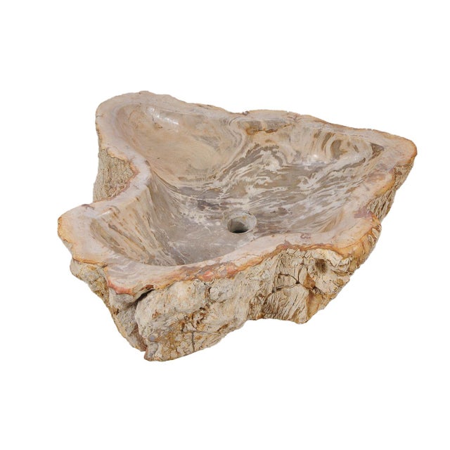 Petrified Wood Wash Hand Basin by Xyleia Petrified Wood For Sale - Image 6 of 6