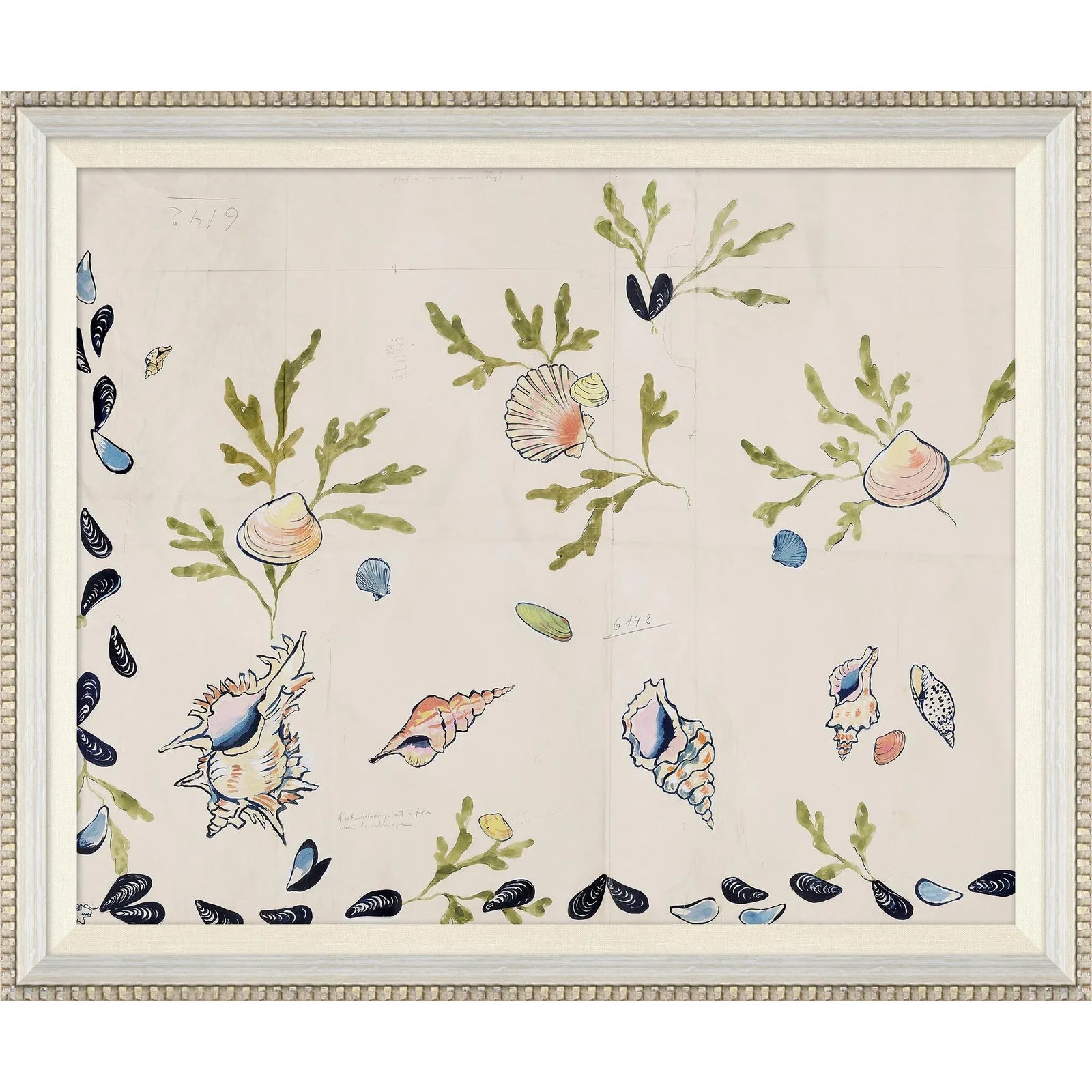 Shell 2 Art Print in Beaded White Frame by Paule Marrot | Chairish