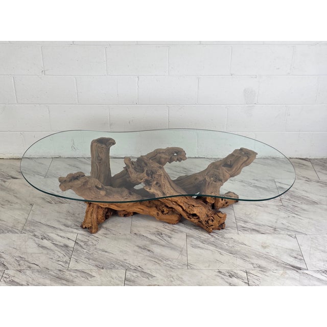 Brown Mid 20th Century Olive Root Driftwood Coffee Table For Sale - Image 8 of 12