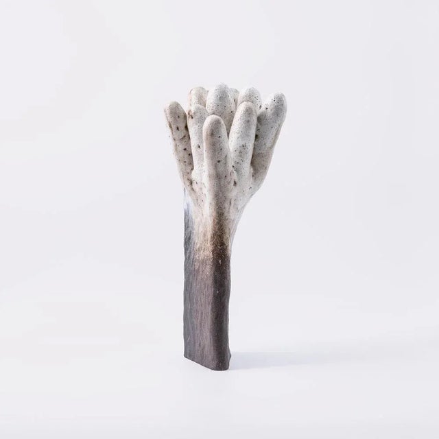 Olga Milczyńska Sea Anemone Sculpture by Nów For Sale - Image 4 of 6